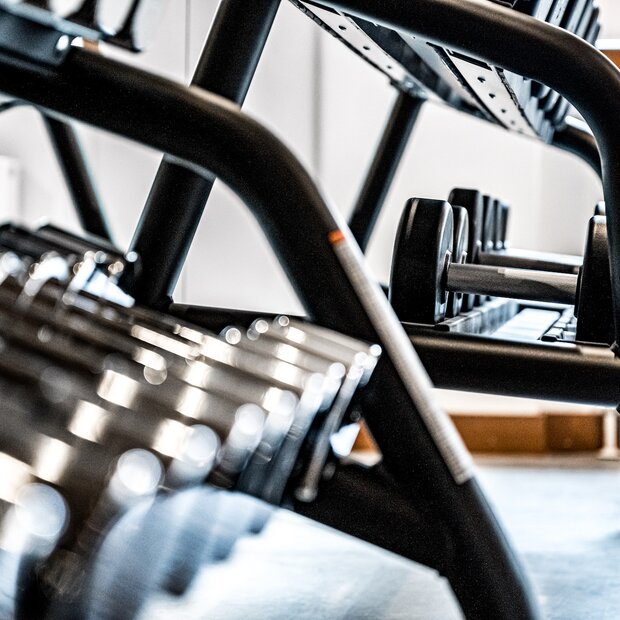 dumbbells in the fitness room