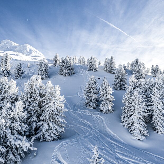 powdern obergurgl | © Alexander Maria Lohmann